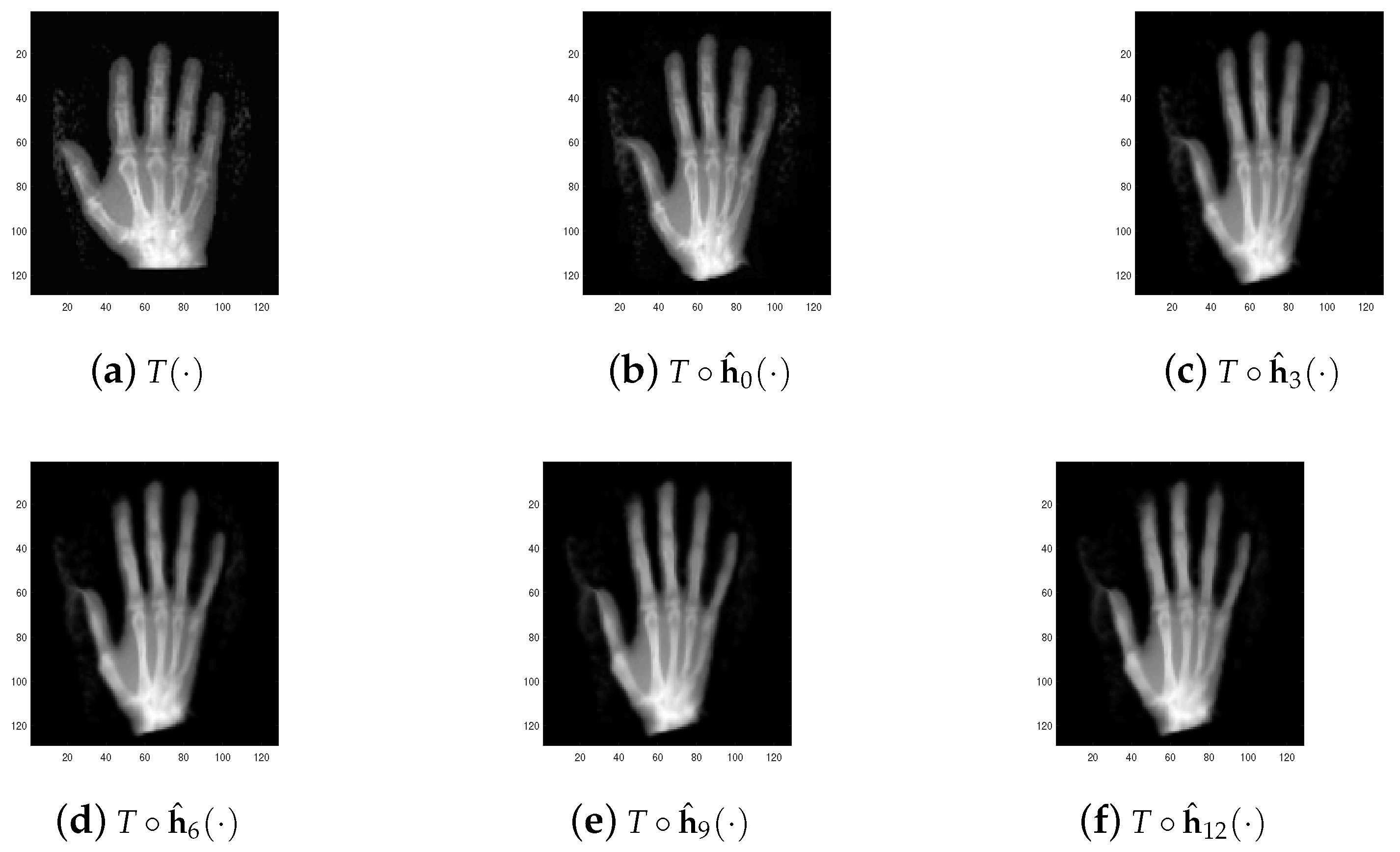Fractalfract 06 00681 g008
