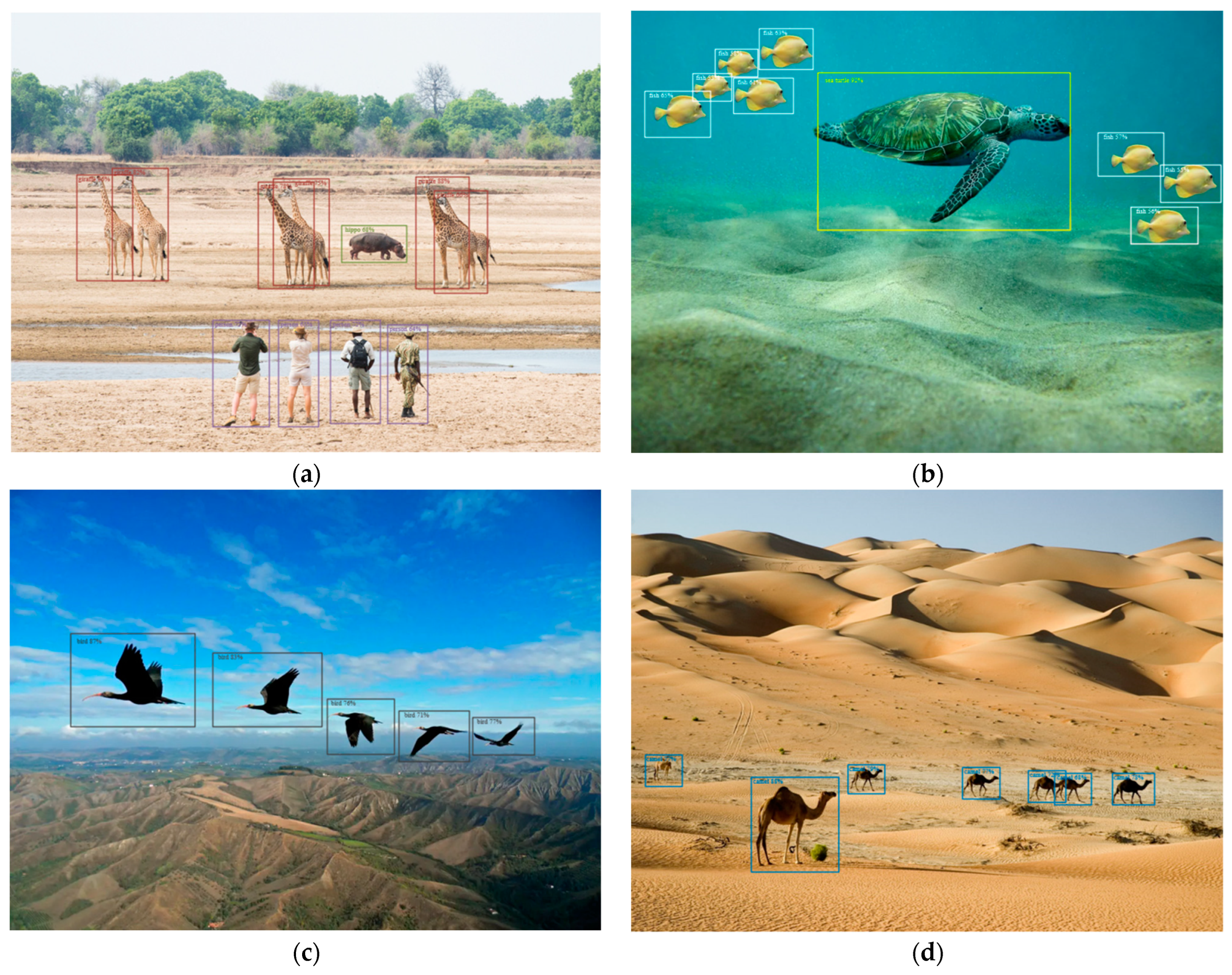 Fractalfract 06 00706 g006 550