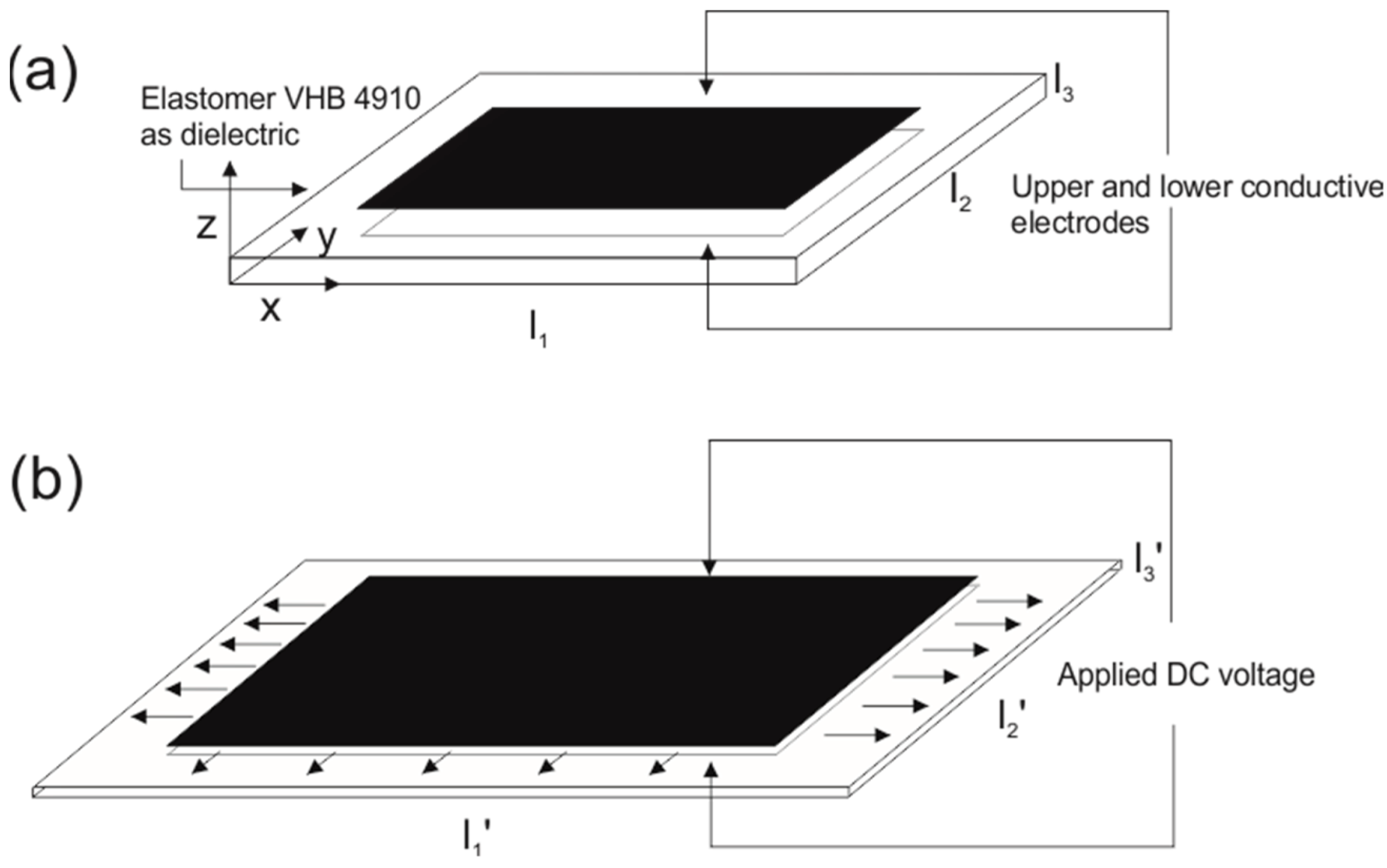 Fractalfract 06 00720 g001 Fractalfract 06 00720 g001
