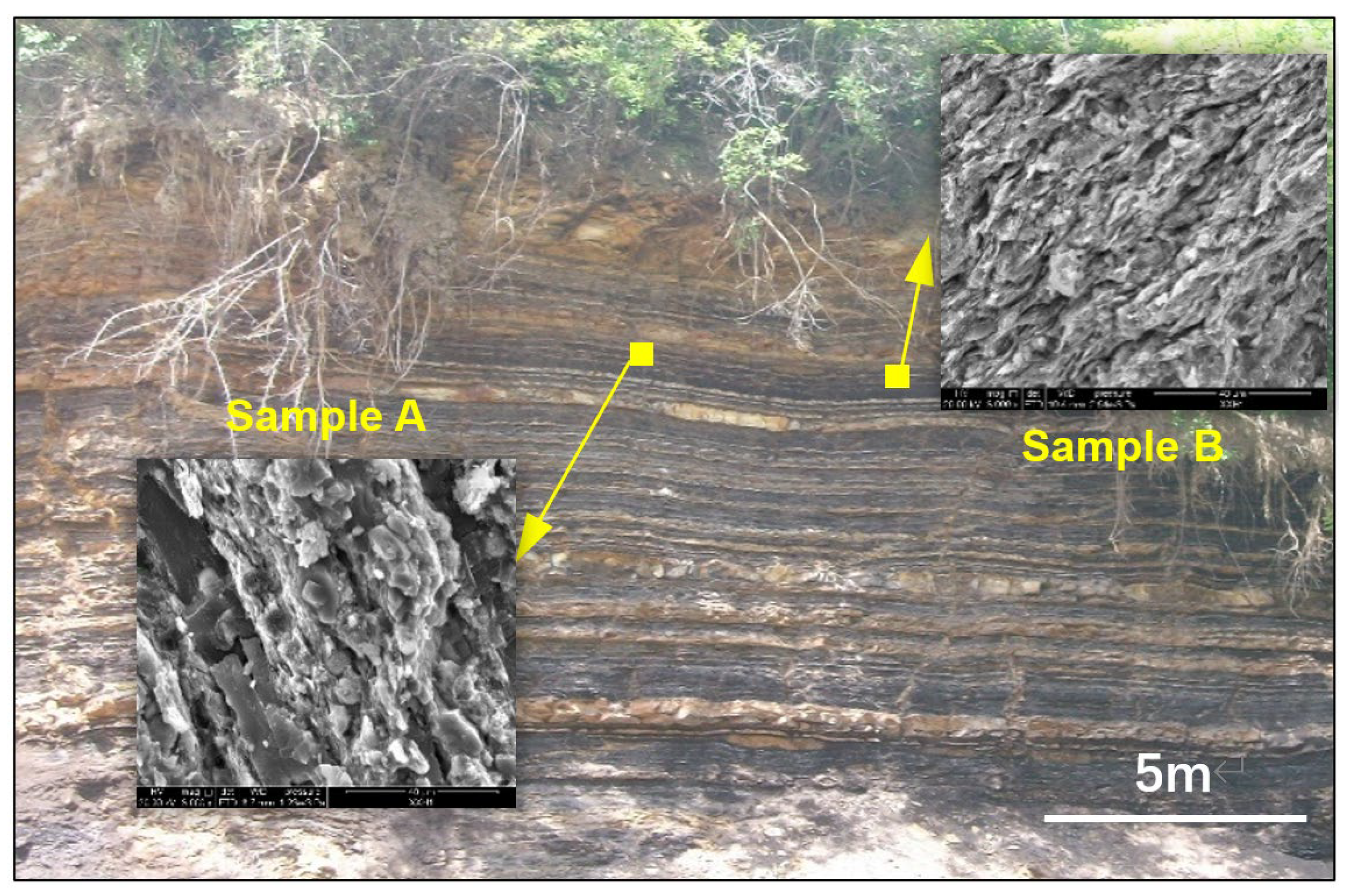 Fractalfract 06 00734 g001 Fractalfract 06 00734 g001