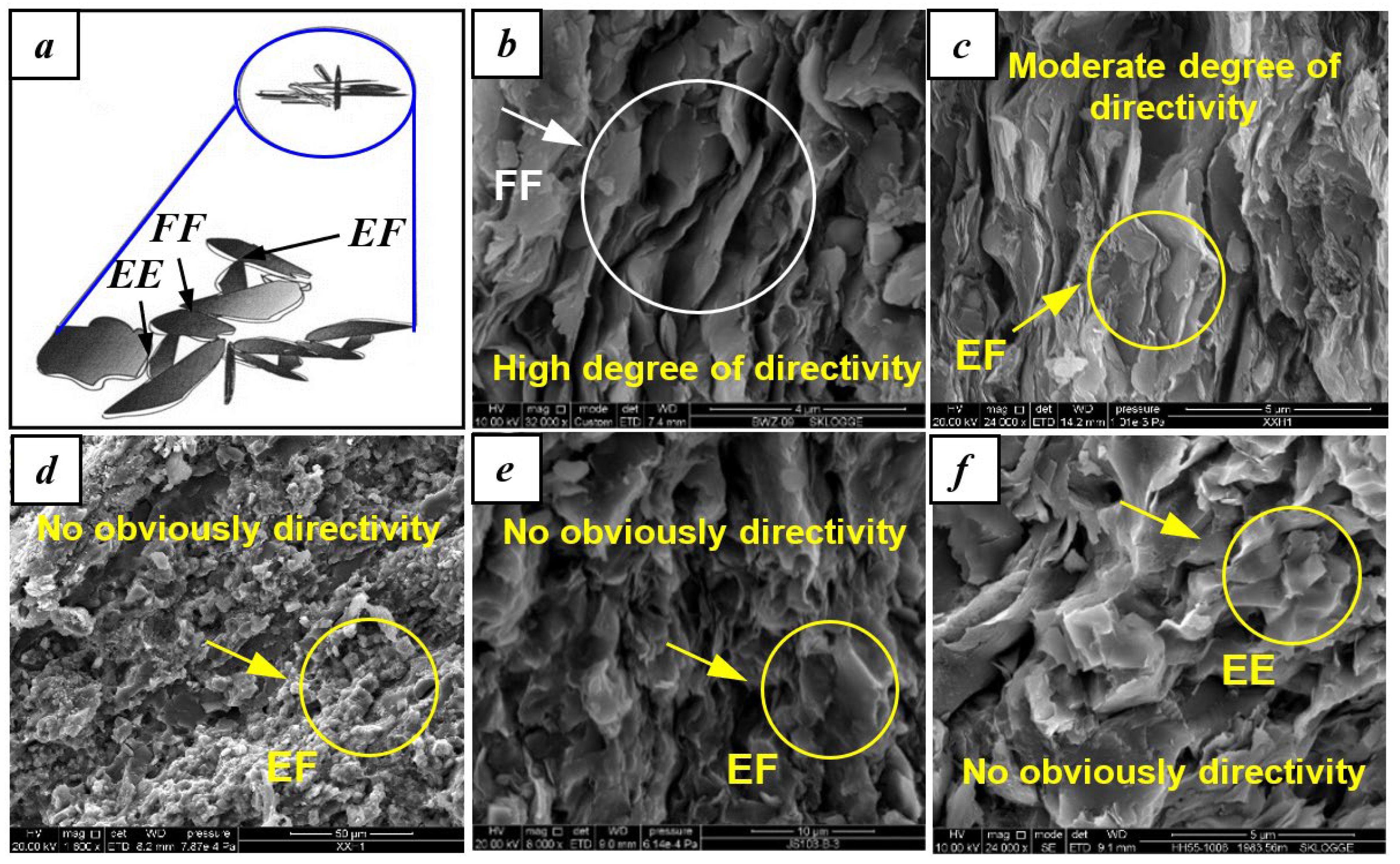 Fractalfract 06 00734 g012 Fractalfract 06 00734 g012