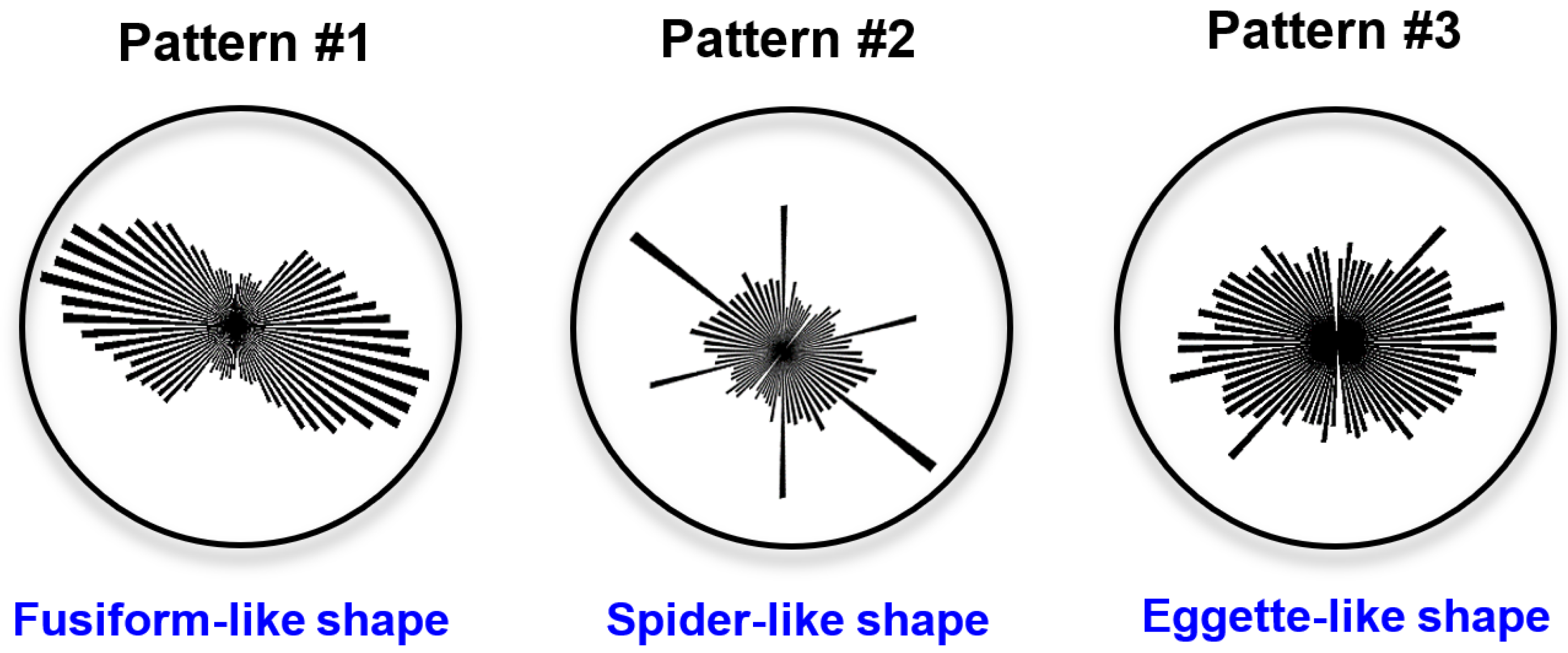 Fractalfract 06 00734 g016 Fractalfract 06 00734 g016