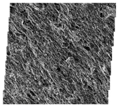 Fractalfract 06 00734 i001 Fractalfract 06 00734 i001