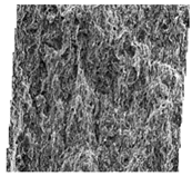 Fractalfract 06 00734 i004 Fractalfract 06 00734 i004