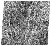 Fractalfract 06 00734 i007 Fractalfract 06 00734 i007