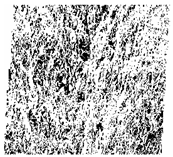 Fractalfract 06 00734 i008 Fractalfract 06 00734 i008