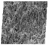 Fractalfract 06 00734 i010 Fractalfract 06 00734 i010