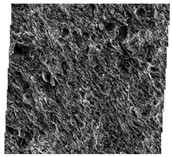 Fractalfract 06 00734 i016 Fractalfract 06 00734 i016