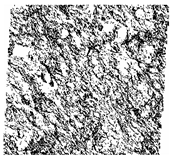 Fractalfract 06 00734 i017 Fractalfract 06 00734 i017