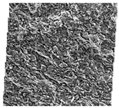 Fractalfract 06 00734 i022 Fractalfract 06 00734 i022