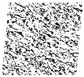 Fractalfract 06 00734 i023 Fractalfract 06 00734 i023