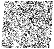 Fractalfract 06 00734 i029 Fractalfract 06 00734 i029