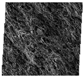 Fractalfract 06 00734 i031 Fractalfract 06 00734 i031