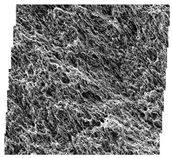 Fractalfract 06 00734 i037 Fractalfract 06 00734 i037