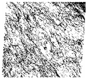 Fractalfract 06 00734 i041 Fractalfract 06 00734 i041