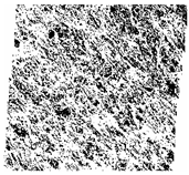 Fractalfract 06 00734 i047 Fractalfract 06 00734 i047