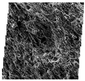 Fractalfract 06 00734 i049 Fractalfract 06 00734 i049