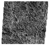 Fractalfract 06 00734 i058 Fractalfract 06 00734 i058