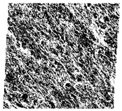 Fractalfract 06 00734 i059 Fractalfract 06 00734 i059