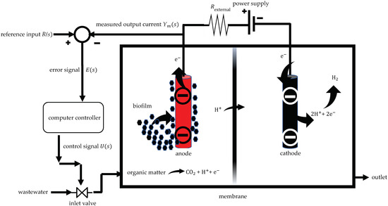 A Robust Controller of a Reactor Electromicrobial System Based on 