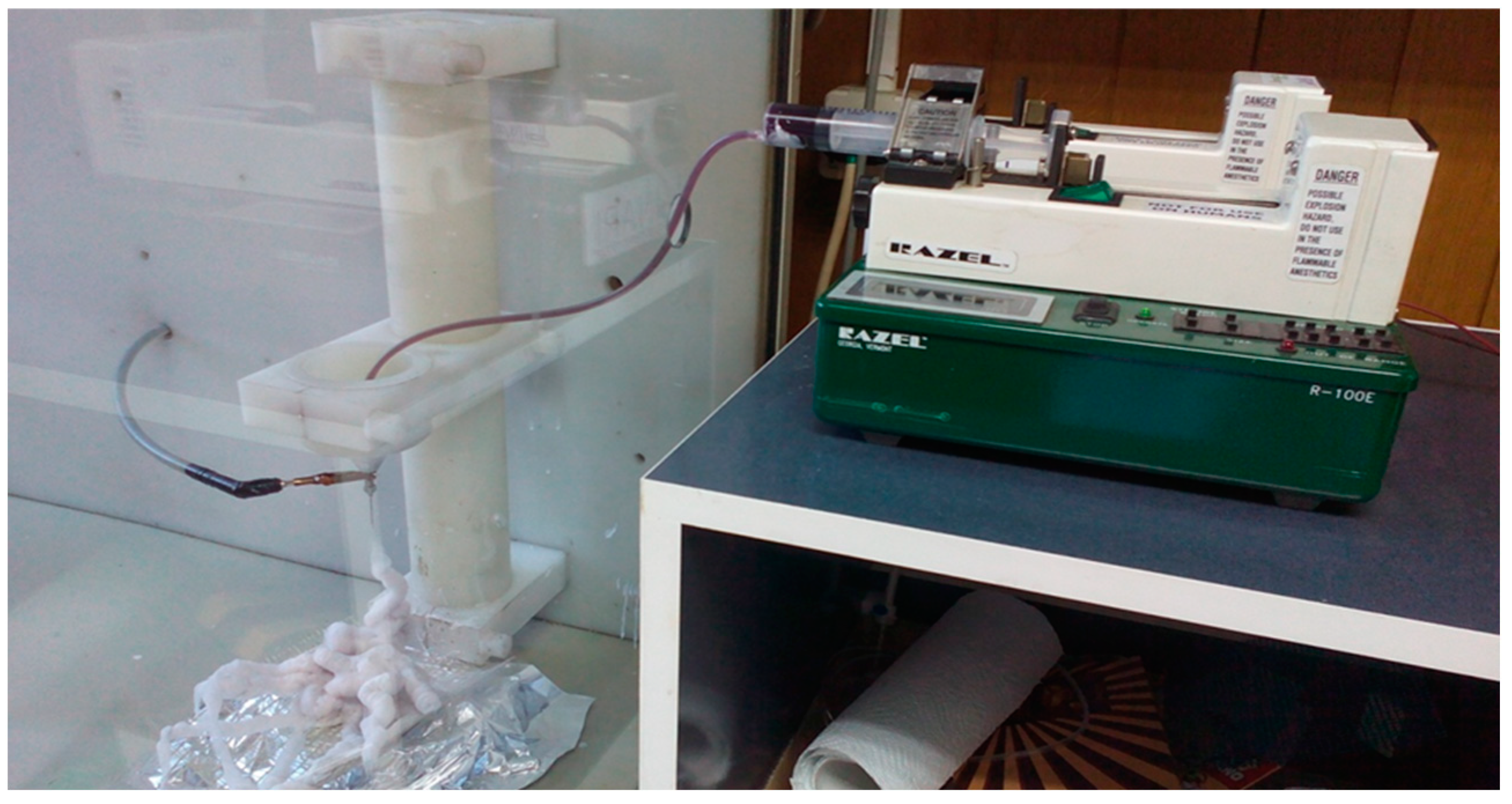 Fractalfract 06 00741 g001 Fractalfract 06 00741 g001