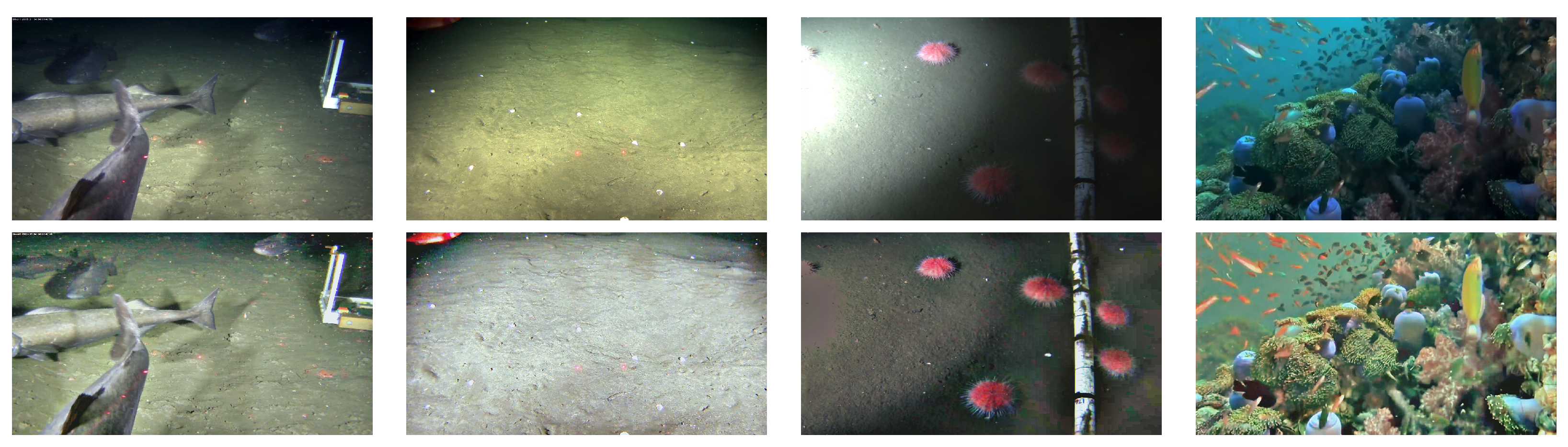 Fractalfract 07 00070 g010 Fractalfract 07 00070 g010