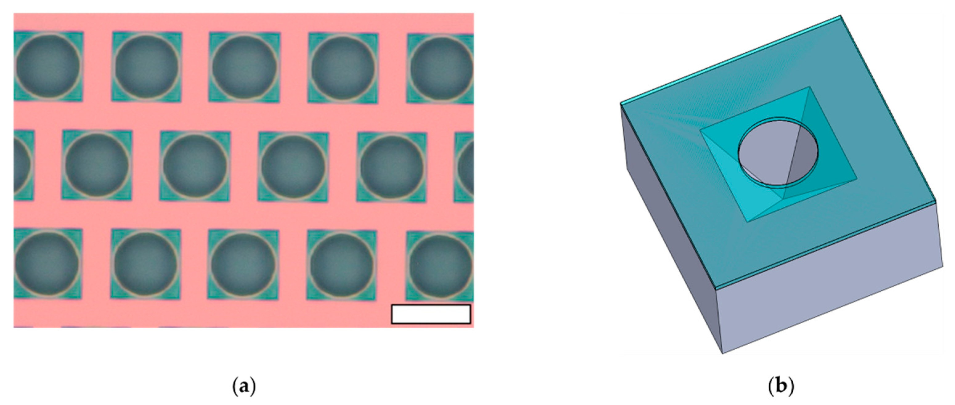 Fractalfract 07 00202 g010