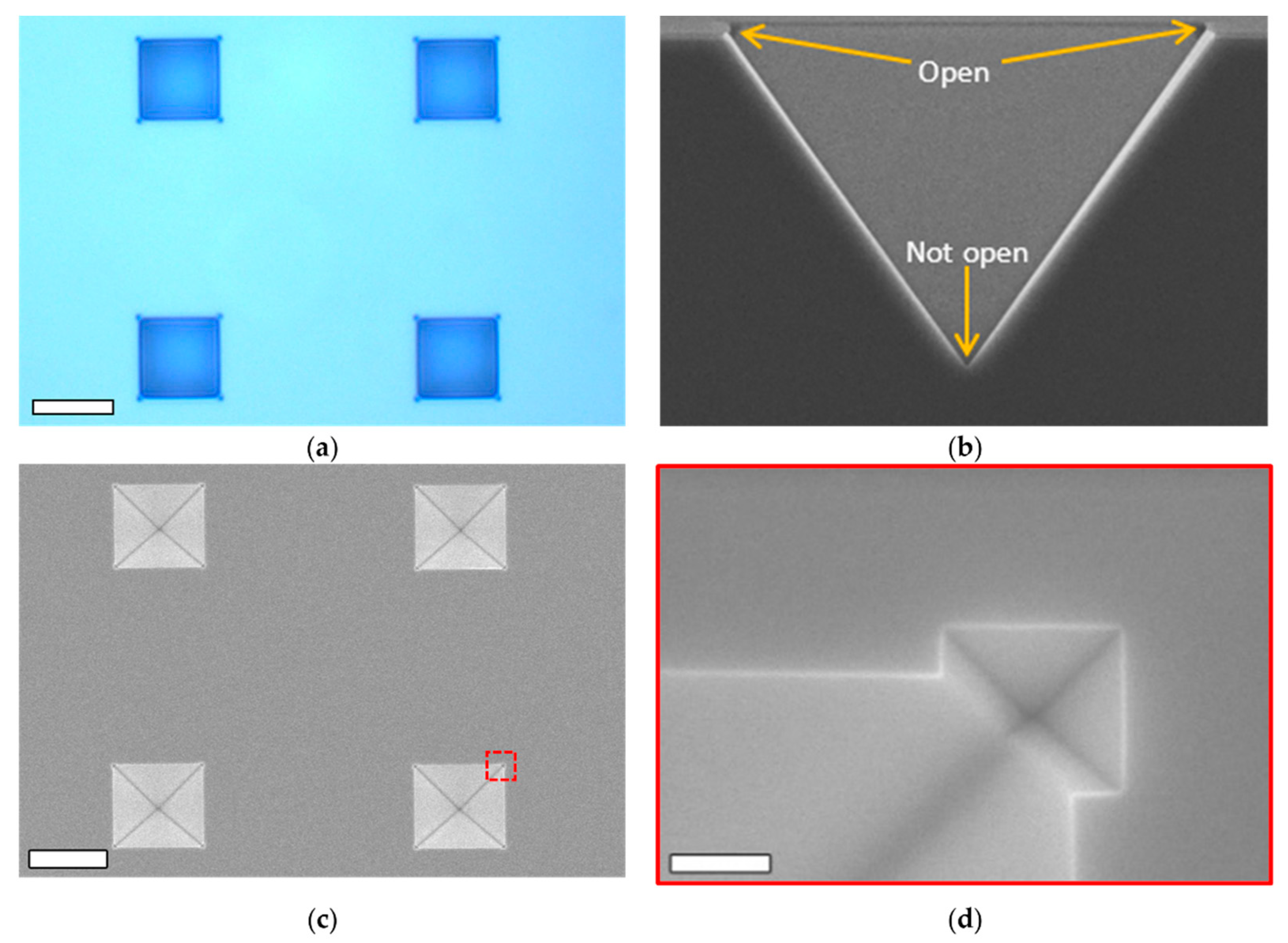 Fractalfract 07 00202 g012