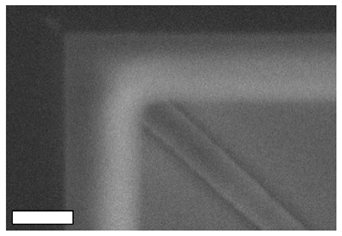 Fractalfract 07 00202 i002