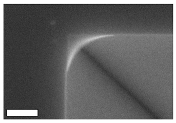 Fractalfract 07 00202 i008