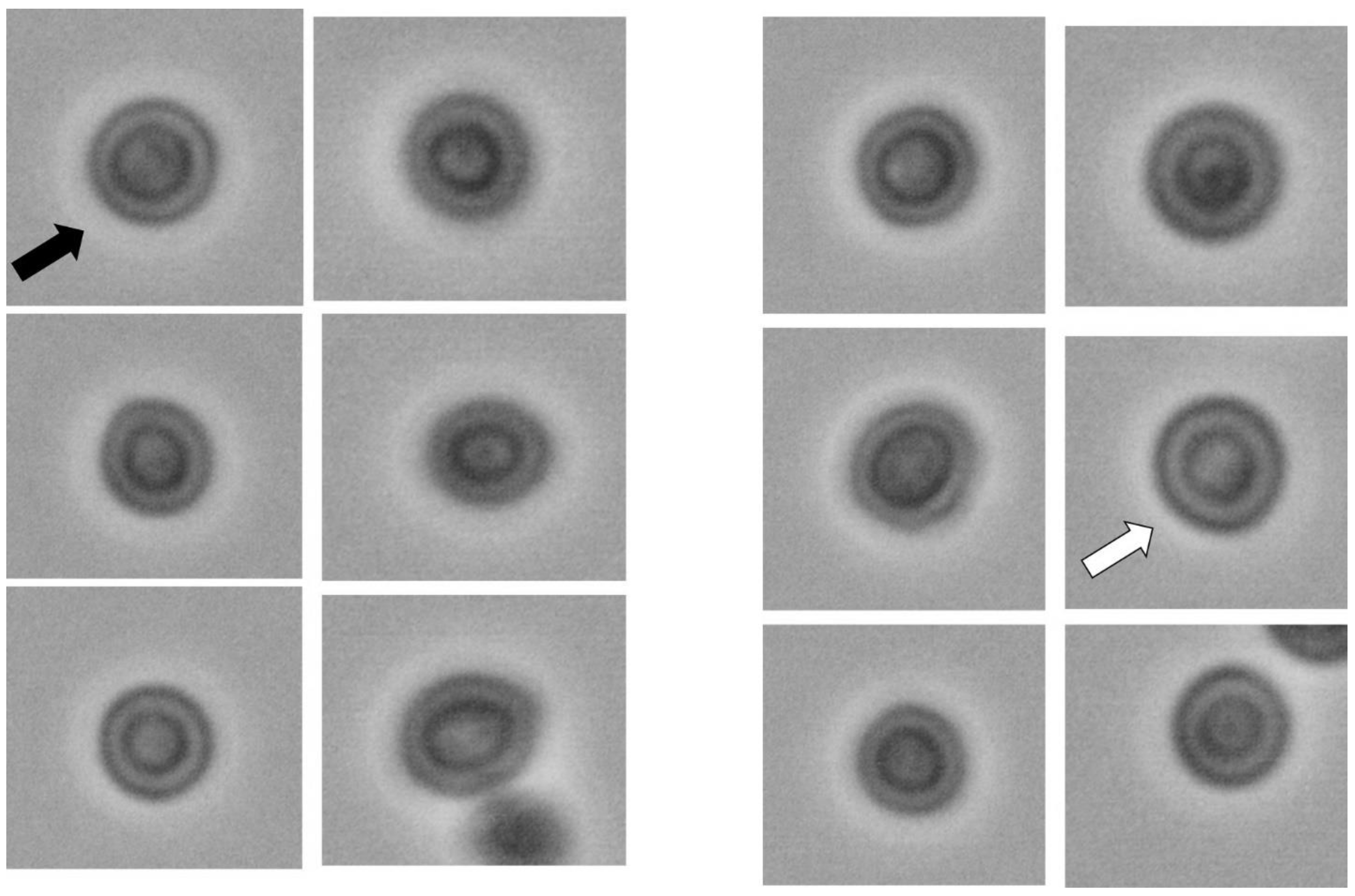 Fractalfract 07 00272 g001