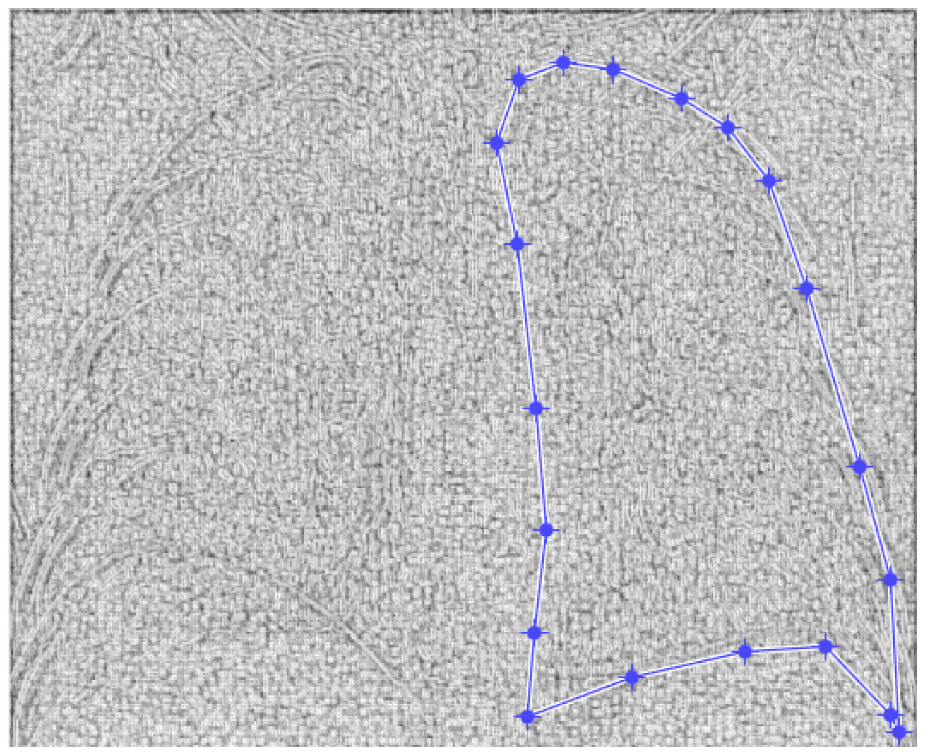 Fractalfract 07 00285 g005