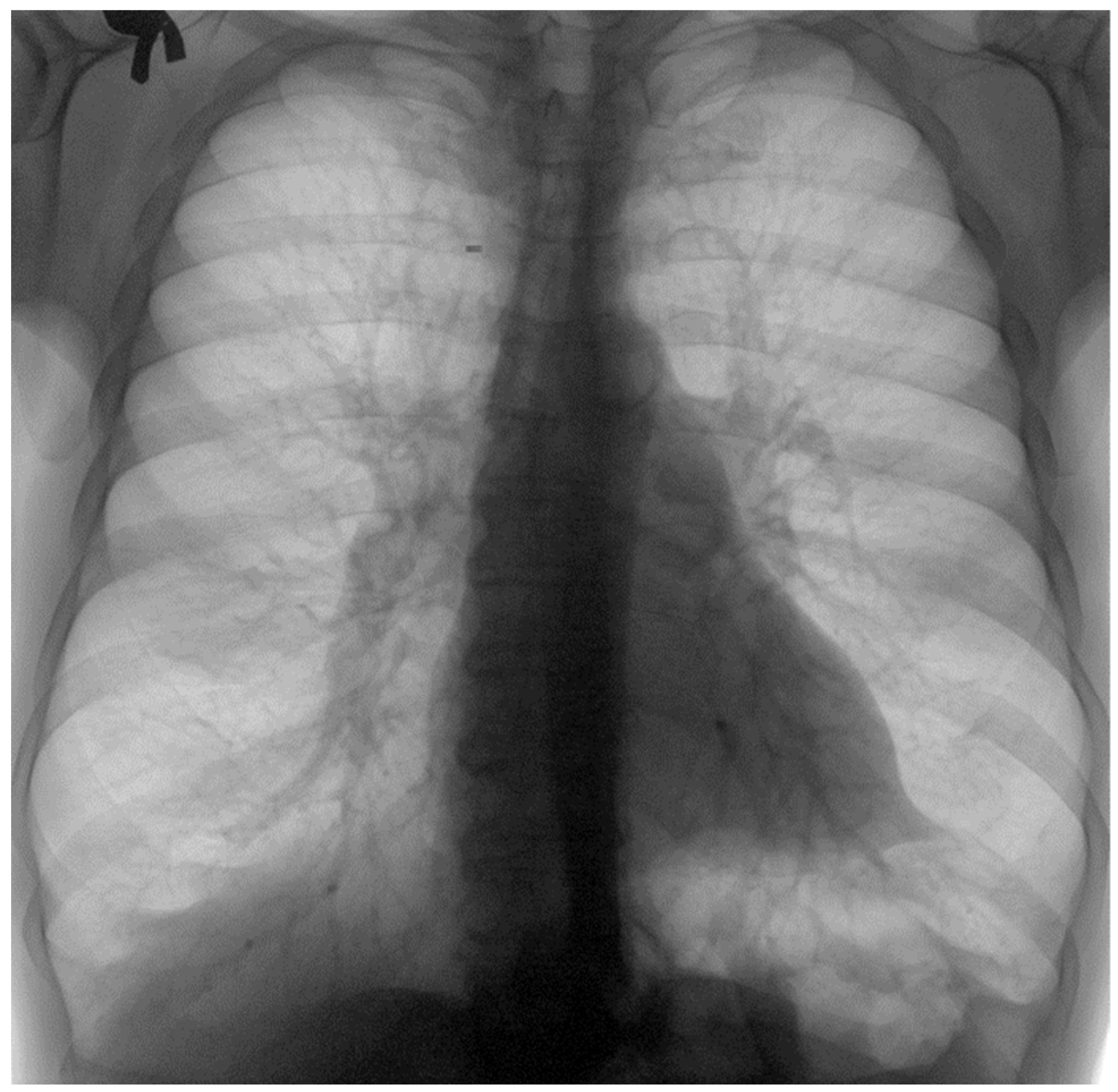 Fractalfract 07 00285 g008