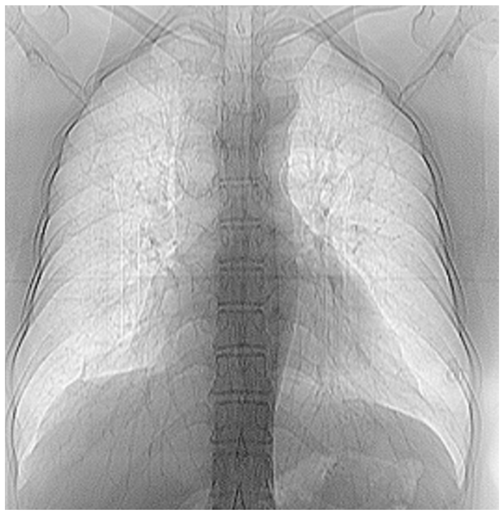 Fractalfract 07 00285 g013