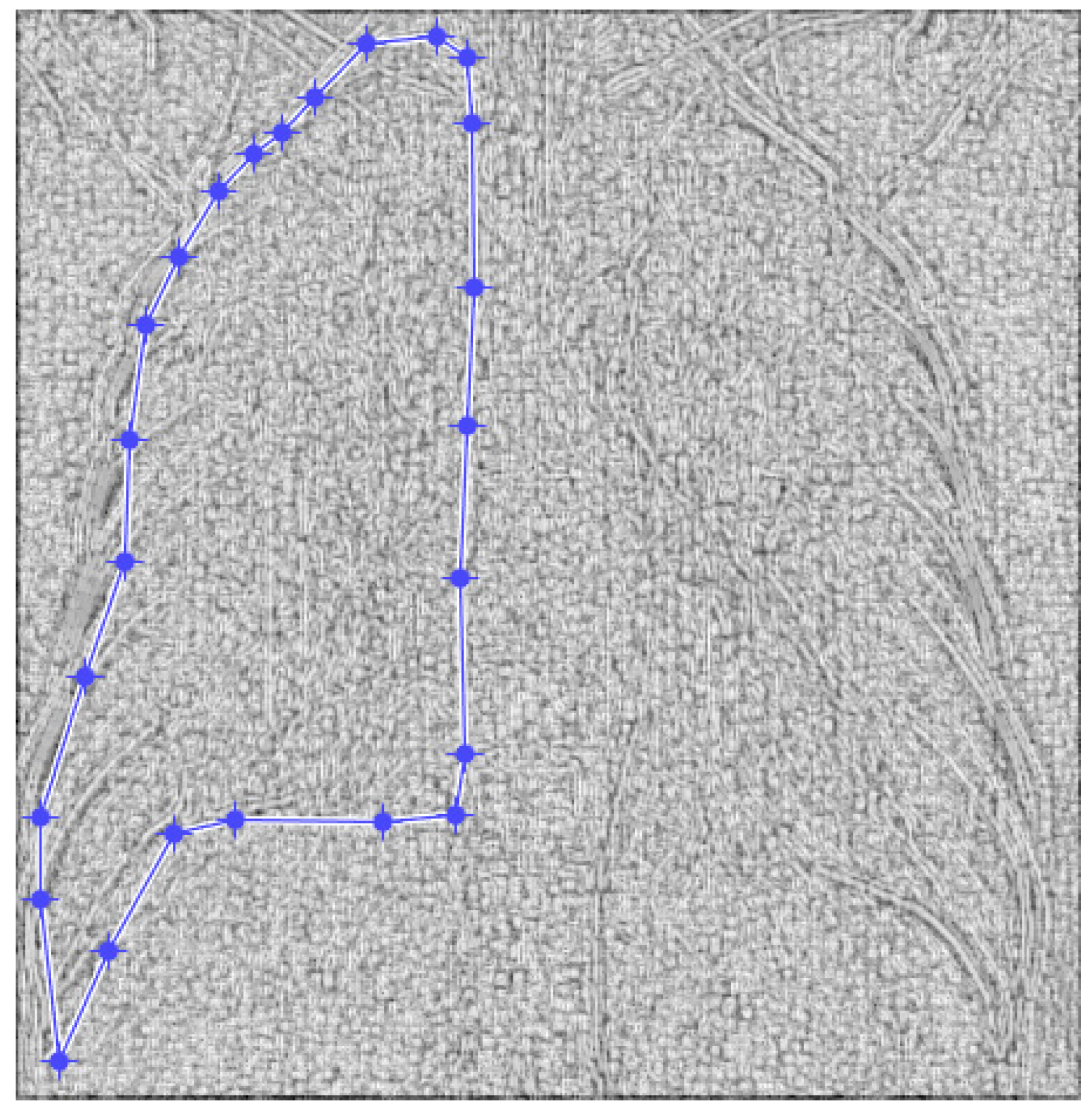 Fractalfract 07 00285 g014