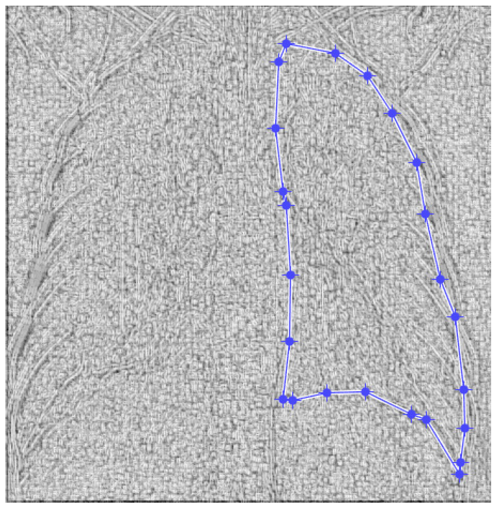 Fractalfract 07 00285 g015