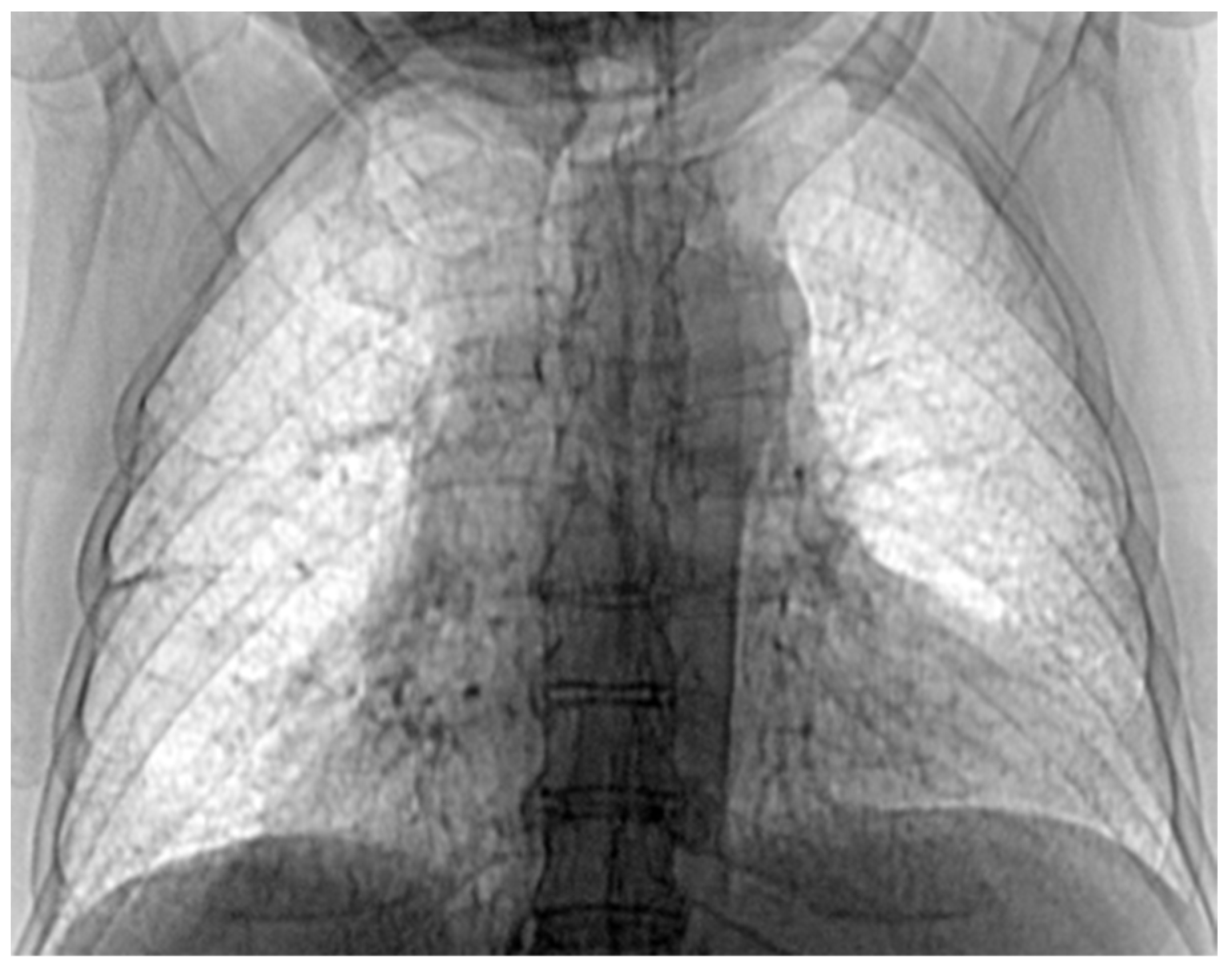 Fractalfract 07 00285 g018