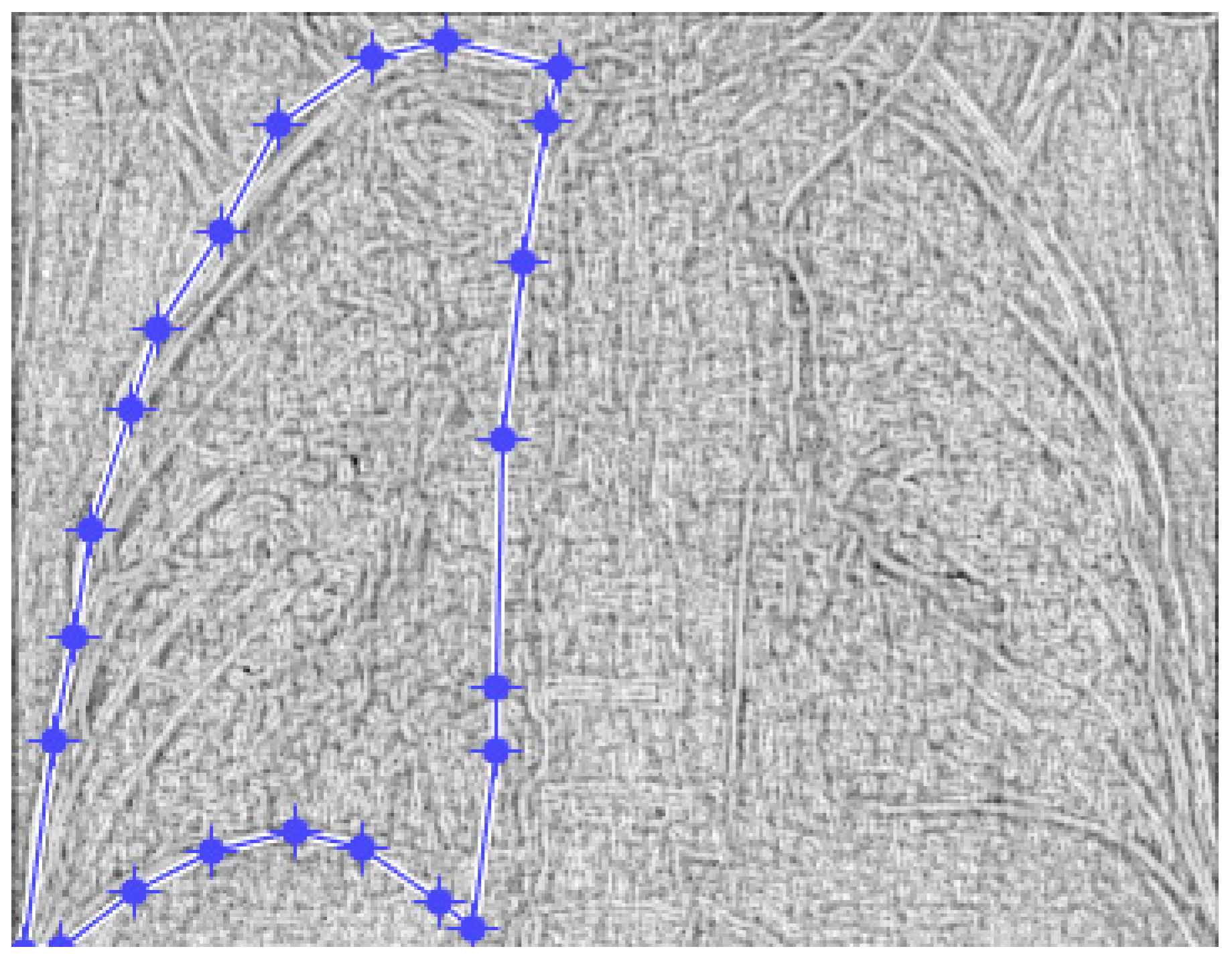 Fractalfract 07 00285 g019