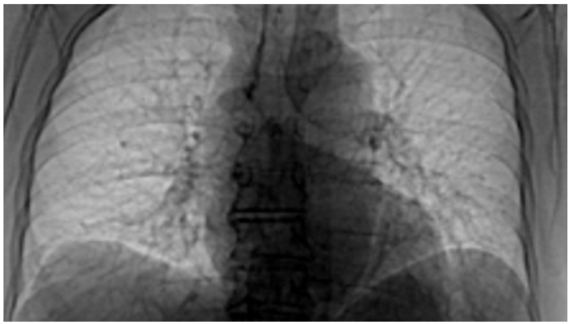 Fractalfract 07 00285 g023