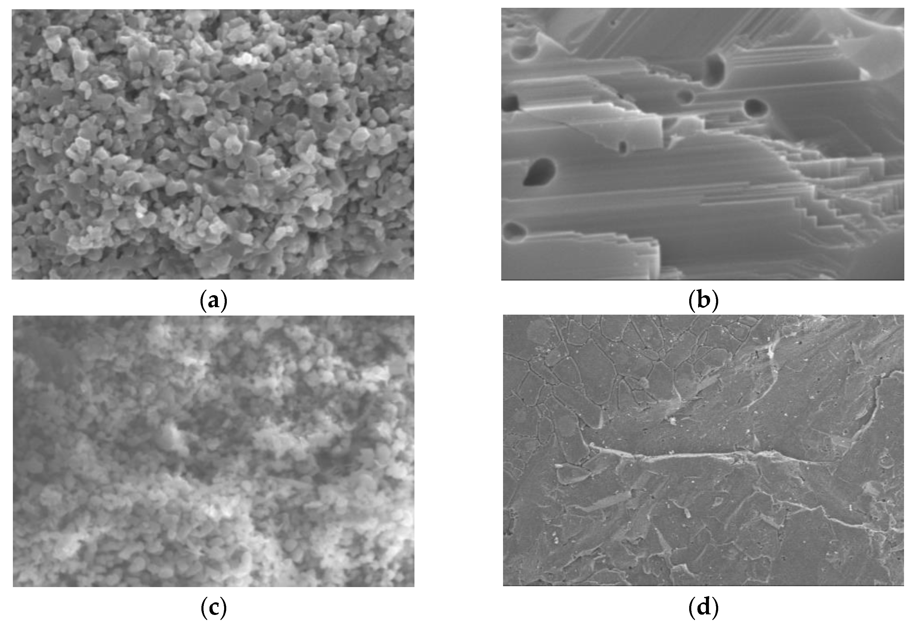Fractalfract 07 00286 g001