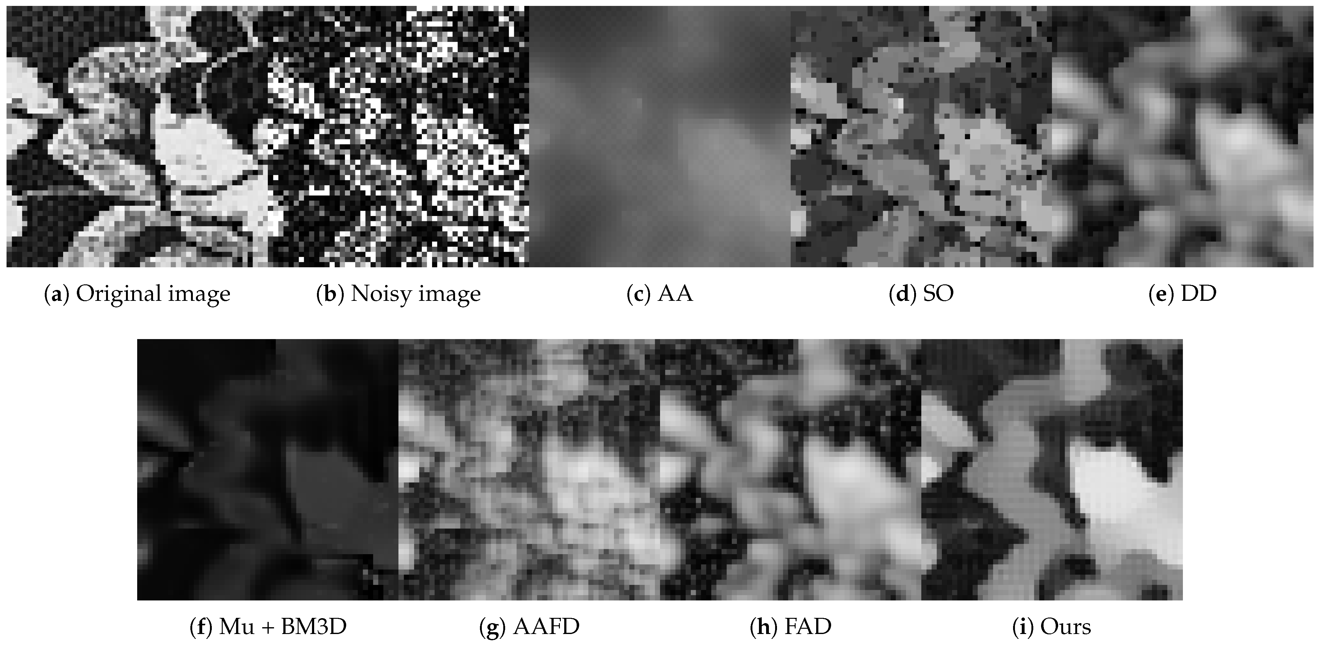 Fractalfract 07 00329 g009