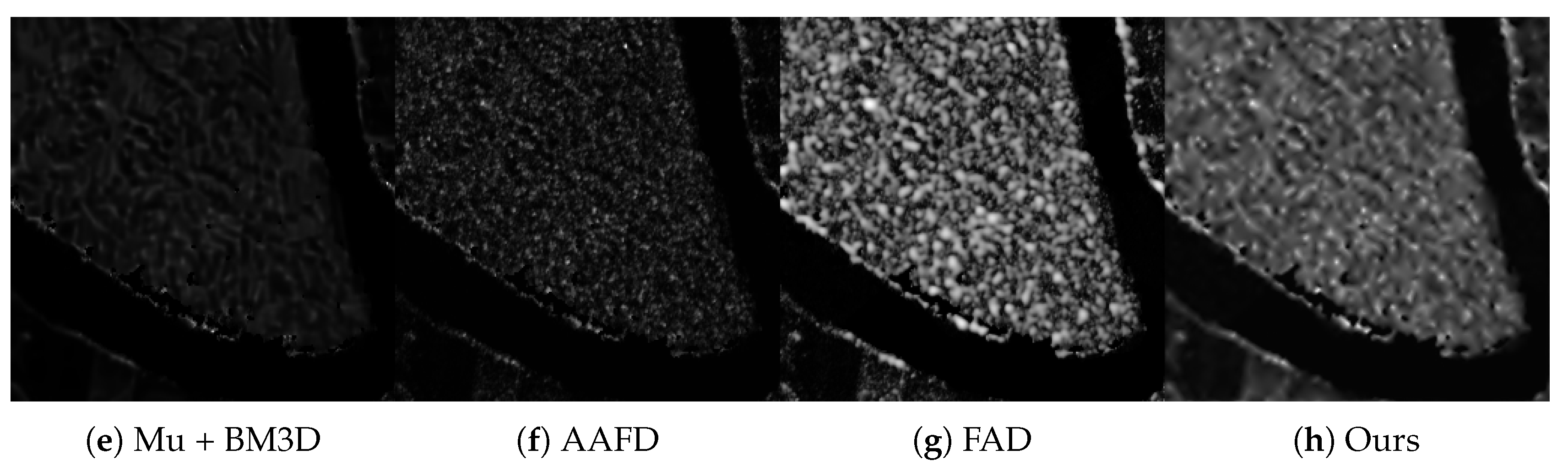 Fractalfract 07 00329 g012b