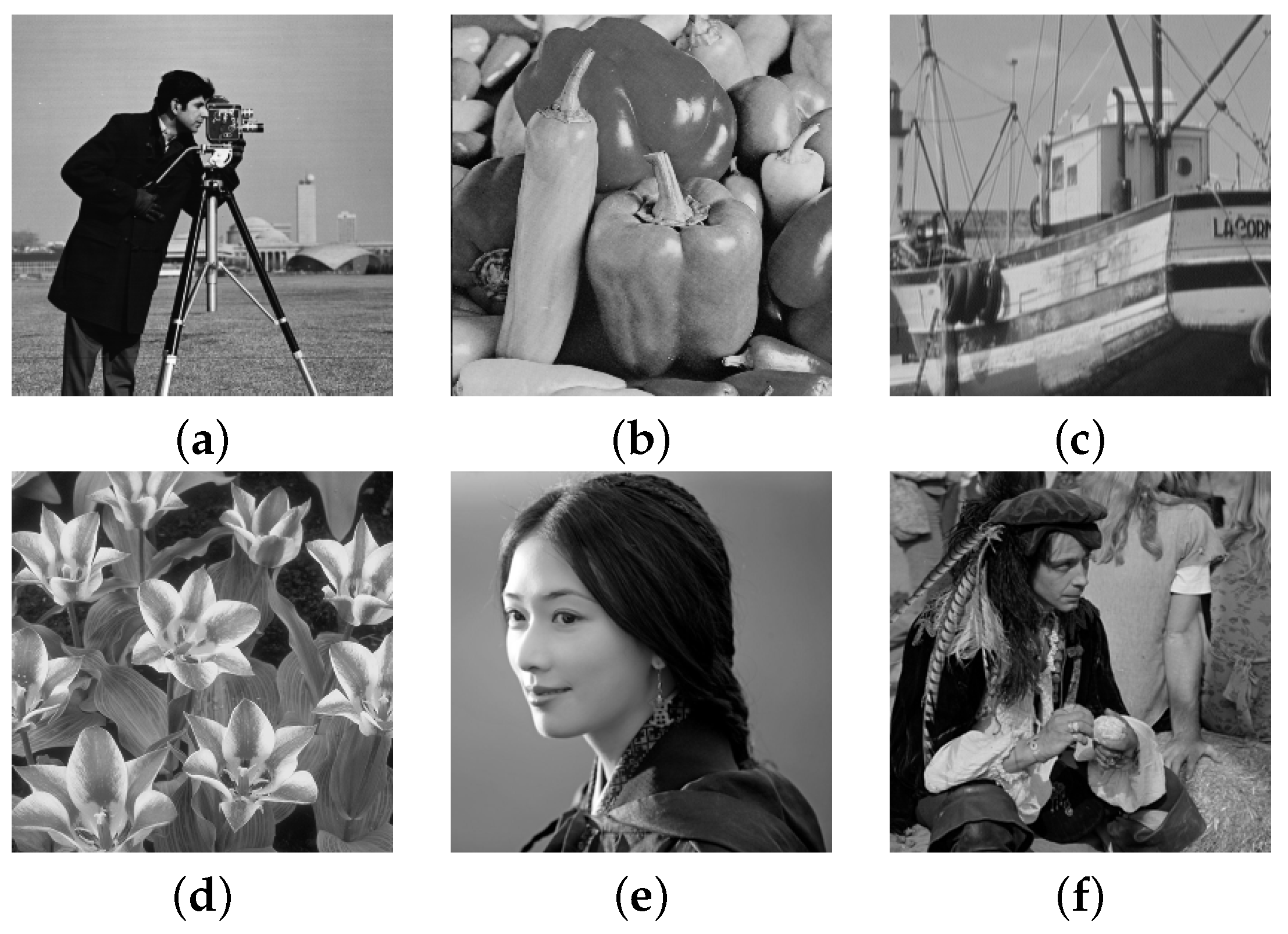 Fractalfract 07 00336 g001