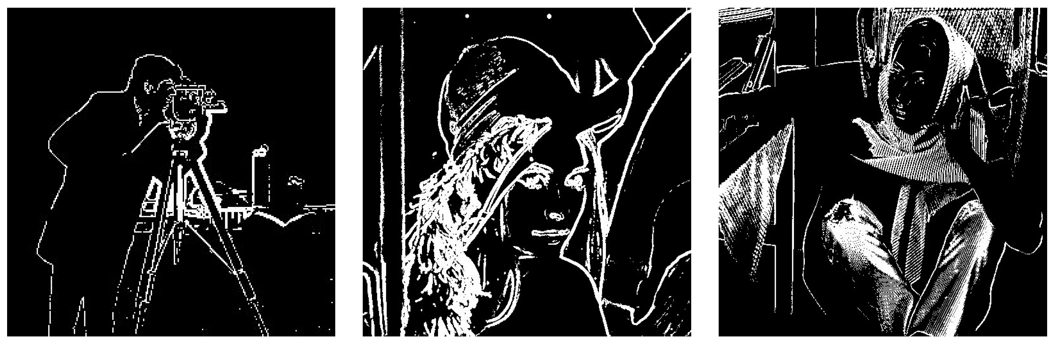 Fractalfract 07 00465 g010