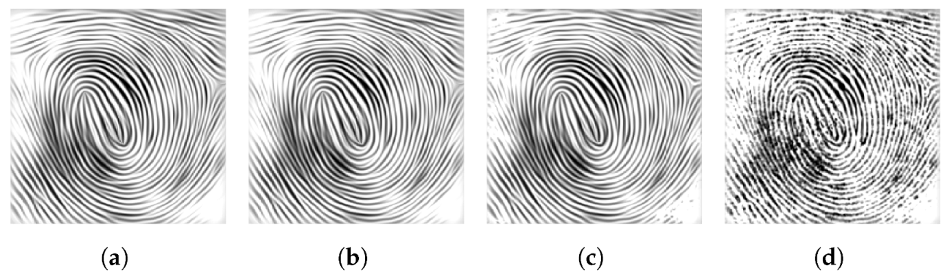 Fractalfract 07 00569 g003