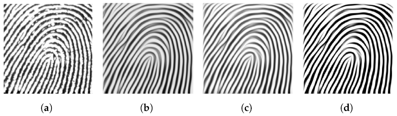 Fractalfract 07 00569 g007