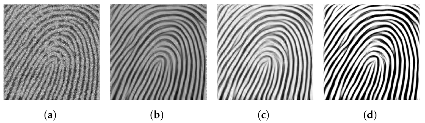 Fractalfract 07 00569 g008