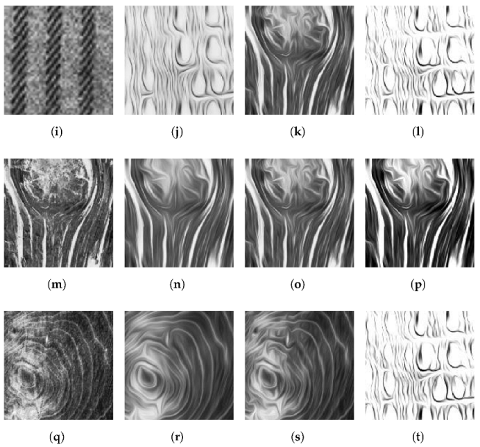 Fractalfract 07 00569 g012b