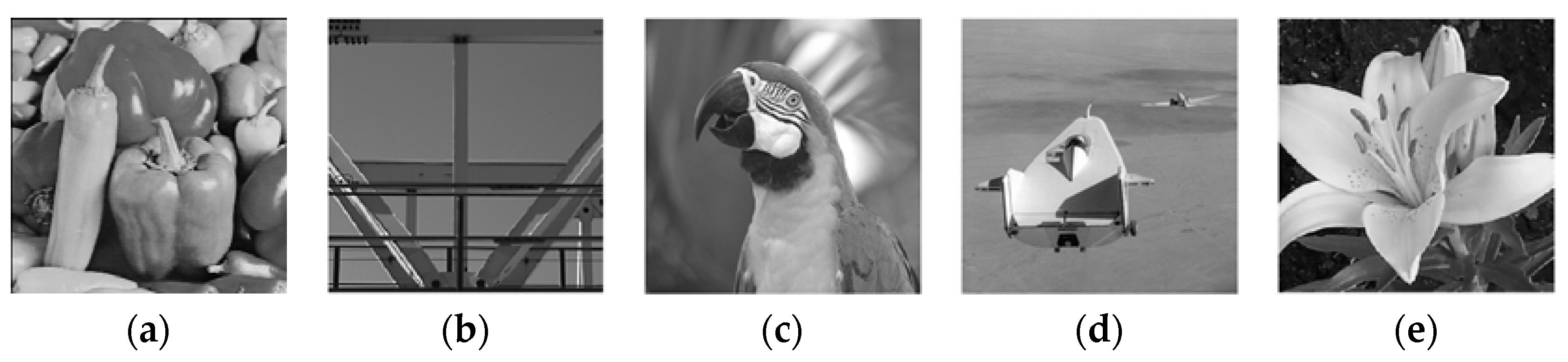 Fractalfract 07 00573 g001a