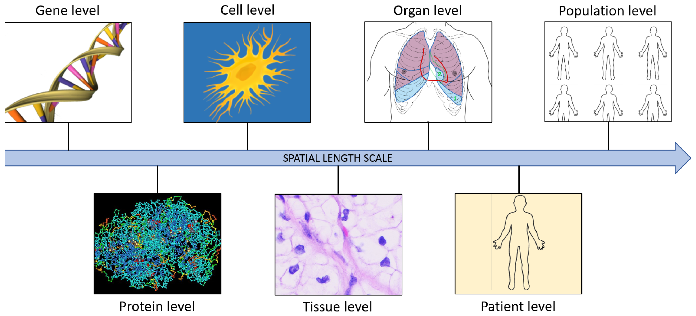 Fractalfract 07 00595 g002 Fractalfract 07 00595 g002